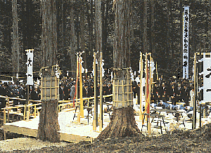 forest shrine.gif
